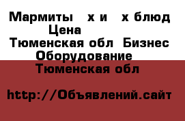 Мармиты 1-х и 2-х блюд › Цена ­ 100 000 - Тюменская обл. Бизнес » Оборудование   . Тюменская обл.